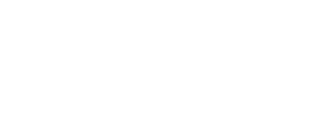 Schriftzug als Logo mit dem DJ Namen Dennis Skyden